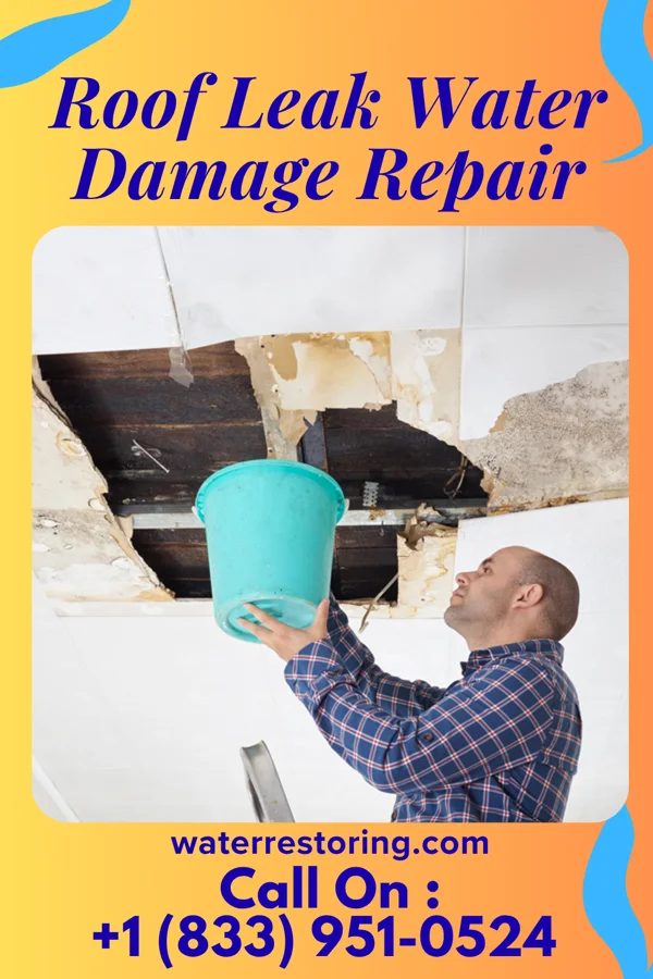 Roof Leak Water Damage Repair in Huntsville, TX